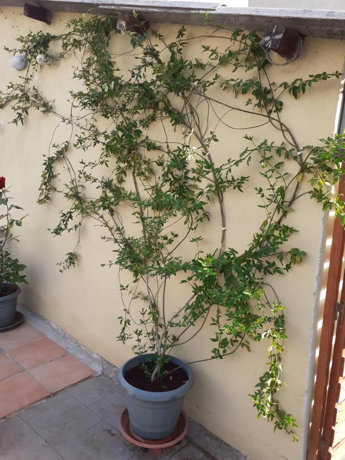Appartement 17 Flats And Roof Garden à Athènes Extérieur photo