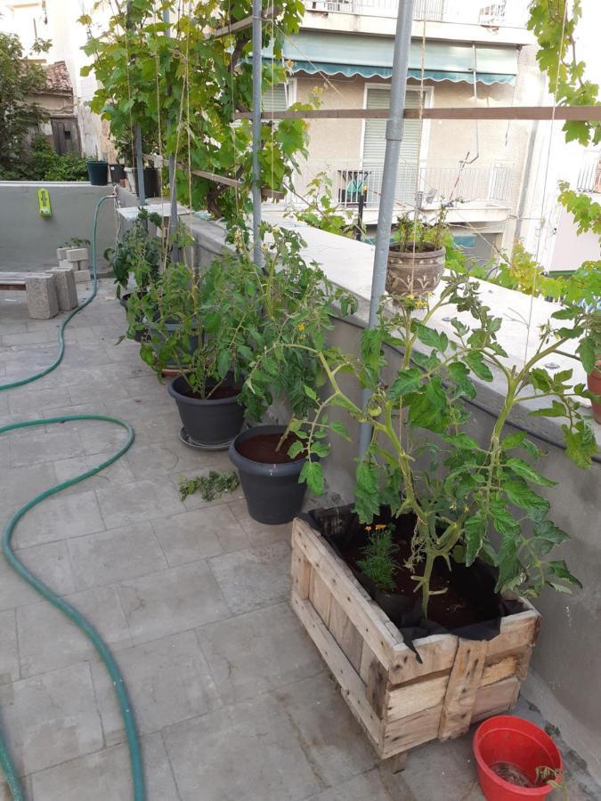 Appartement 17 Flats And Roof Garden à Athènes Extérieur photo